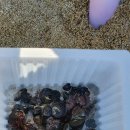 금진2리 이미지