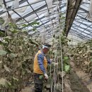 《염치읍 중방리. 석정리 수해복구 봉사활동》 이미지