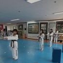 경희대 진 태권도 이미지