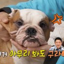 순수 이미지