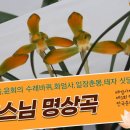 정강스님(청산,명상,마음,윤회의 수레바퀴,화엄사,일장춘몽,태자 싯달타의 출가) 이미지