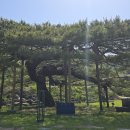 임천면행정복지센터 이미지