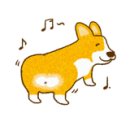 큐티애견 이미지