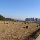 가정2리 마을회관 이미지