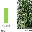 미생물연구관 이미지