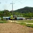 상곡리농장 Daum카페