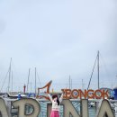 전곡항마리나 | 제부도 놀거리 전곡항요트체험 낭만데이트