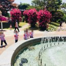 태양어린이집 이미지