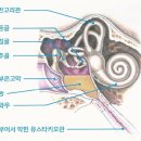 에바다보청기 이미지