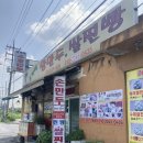 코끼리 왕만두 이미지