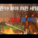 저단19 네이버블로그