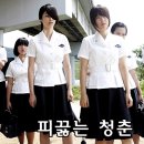 피끓는 청춘, 정보 and 후기
