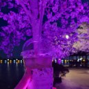 파파돈 마마커피 이미지