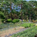 임정은가든 이미지