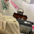 784 | 케세이퍼시픽 홍콩 레이오버 발리(CX417 418, CX784 785) 후기