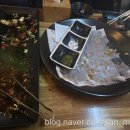 닭한바리 이미지