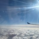 마초짐 | [제주여행] 도쿄에서 인기 좋은 카라시비라멘을 맛볼 수 있는 평점 4.82의 일본식라멘 맛집, 마초면탁