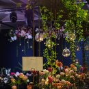 [💍Wedding-01]웨딩 베뉴 정하기-코엑스 그래머시 아셈볼룸 계약 후기