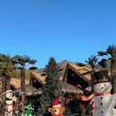 밀양대로 | 밀양로그펜션 겨울여행 동남아 감성 가득한 숙소 내돈내산 솔직후기