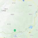 지리산운봉흙돼지 이미지