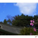 영축사 이미지