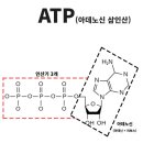 휴식시간 이미지