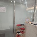 미가코리아 이미지