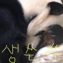 해뜰약국 이미지