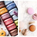 바리스타자격증(수) 이미지