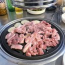 꿀꿀뒷고기 이미지