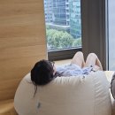 7월일기 - 식집사일지, 롯데월드, 마지막 잠실라이프, 뉴 오피스, 직장인도시락, 수영, 프리다이빙...