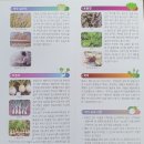토종씨앗으로 전통농사를 배우시는 초보농부님 무 배추 공부합니다. 이미지