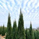 일표농장 이미지