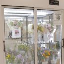 주정차046 이미지