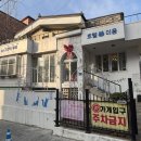 오묘 고양이카페호텔미용 | [대구] 개냥이가 많은 고양이카페 ‘오묘고양이카페호텔미용’ 대구고양이미용 잘하는 곳 추천