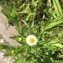 송촌2리 마을회관 이미지