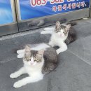 백합모텔 이미지