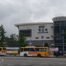 나는 펫로스를 겪고 있지만 펫로스 증후군은 아니다(방송후기 2)