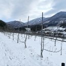 사과나무공인중개사사무소 이미지