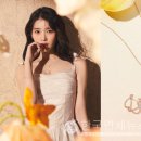 몹시 이미지