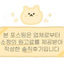 굿데이멍 | 세심한 케어에 감동한 굿데이멍 애견미용 후기