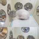 이안자미용실 - 화순군 중앙로 93-9 | 이안자미용실