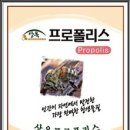 상옥프로폴리스 Daum카페