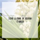 제율한의원구로점 이미지