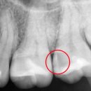 세브란스이치과의원 이미지