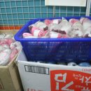 영아트 이미지