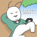 태림시술원 네이버블로그