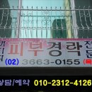 채지희스포츠전문경락