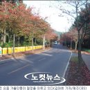 한라수목원 네이버블로그