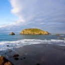 영진태권도 이미지